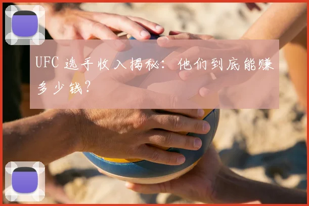 UFC 选手收入揭秘:他们到底能赚多少钱?