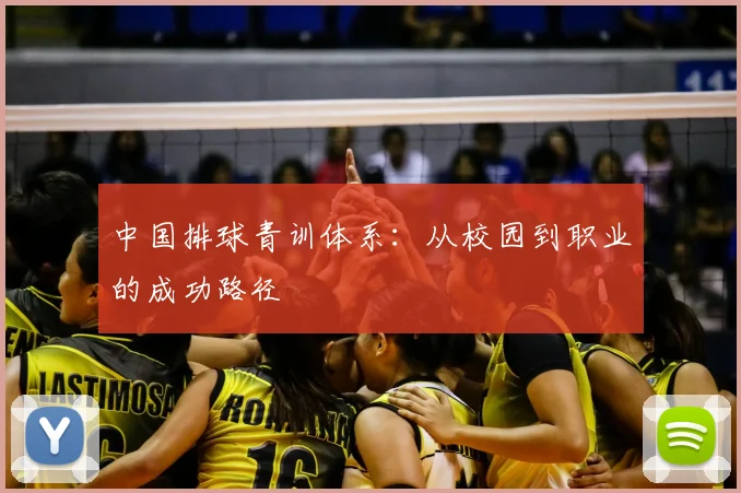中国排球青训体系:从校园到职业的成功路径