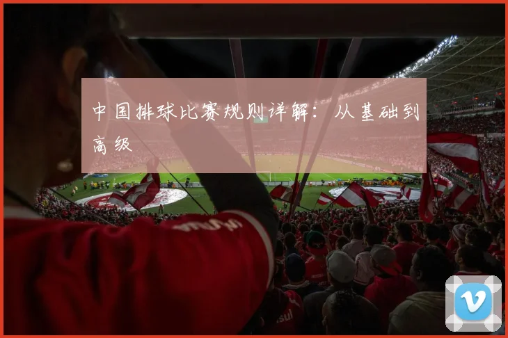 中国排球比赛规则详解：从基础到高级