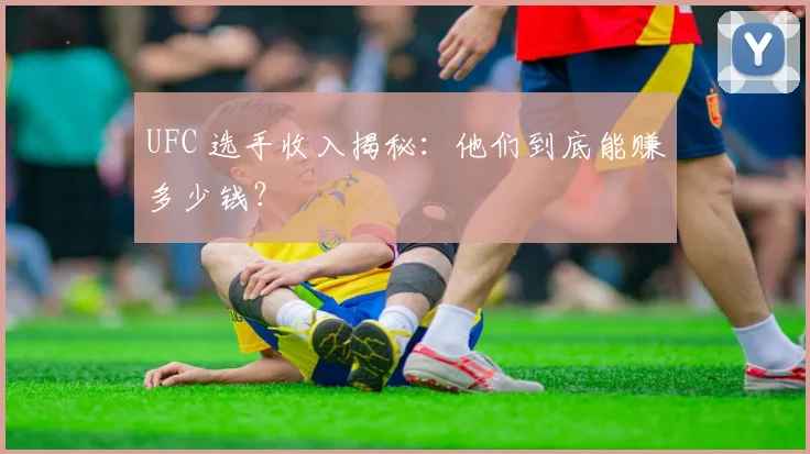 UFC 选手收入揭秘：他们到底能赚多少钱？